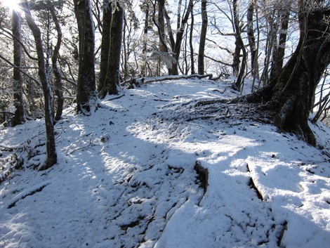 20191129hike (410)